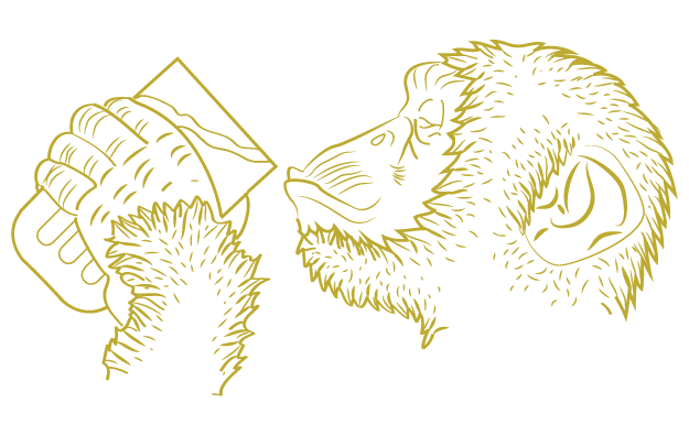 the four monkeys singes drinks inversé